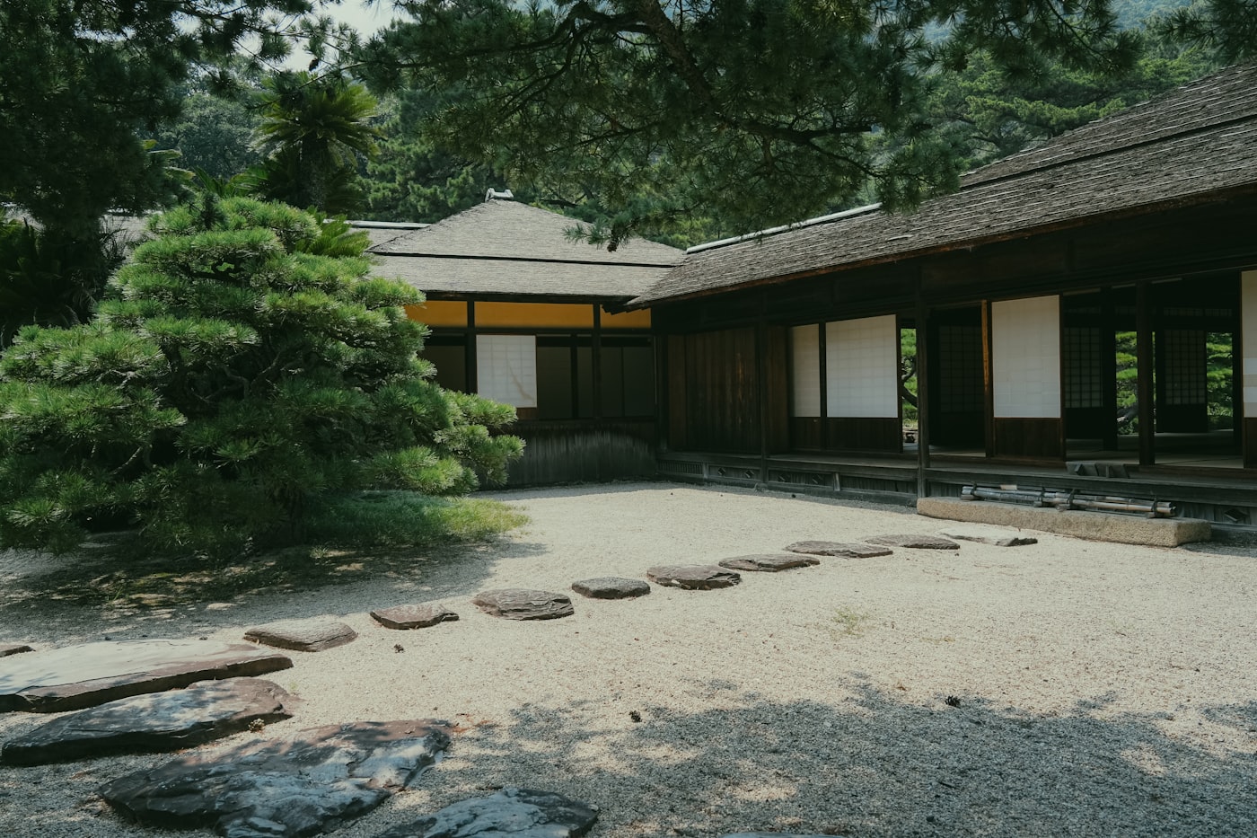 Interactive healing courtyard with stone paths for workshops and rehabilitation
